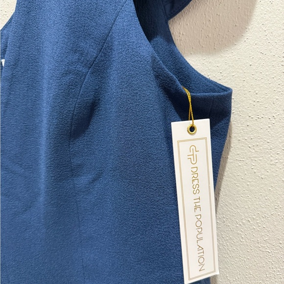 Dress the Population Bettie High Low Dress - Picture 4 of 8